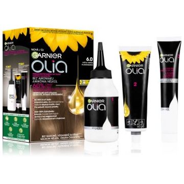 Garnier Olia Big Kit Culoare permanenta pentru par