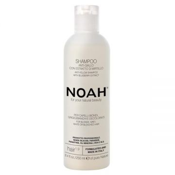 Sampon Natural cu Extract de Afine pentru Neutralizarea Tonurilor Galbene 1.9 Noah, 250ml