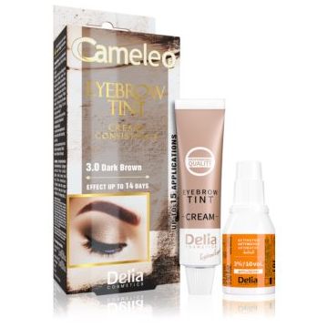 Delia Cosmetics Cameleo Vopsea crema profesionala pentru sprancene fără amoniac