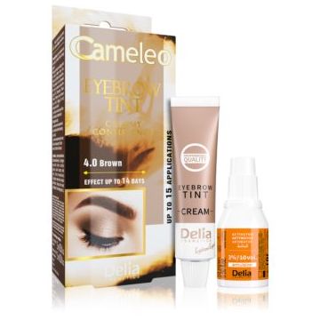 Delia Cosmetics Cameleo Vopsea crema profesionala pentru sprancene fără amoniac