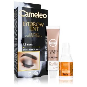 Delia Cosmetics Cameleo Vopsea crema profesionala pentru sprancene fără amoniac