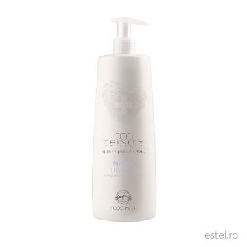 Sampon nuantator anti yellow pentru nuante reci de blond Essentials Blonde Trinity Haircare, 1000 ml