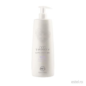 Sampon nuantator anti yellow pentru par alb grizonat Silver Reflex Essentials Blonde Trinity Haircare, 1000 ml