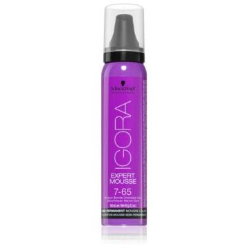 Schwarzkopf Professional IGORA Expert Mousse vopsea de par sub forma de spuma pentru păr