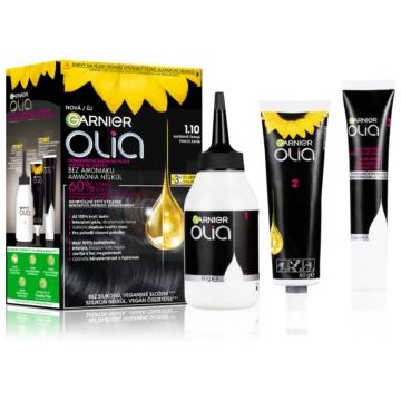 Garnier Olia Big Kit Culoare permanenta pentru par