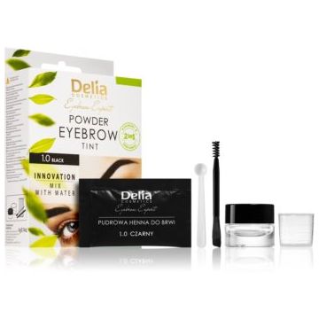 Delia Cosmetics Eyebrow Expert vopsea de sprancene