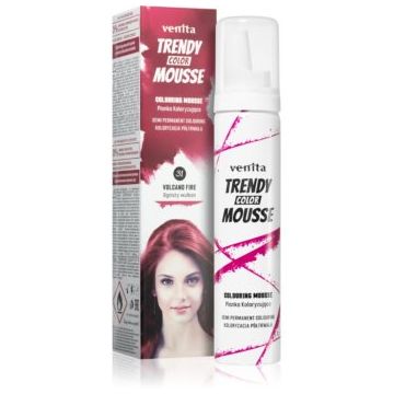 Venita Trendy Color Mousse vopsea de par sub forma de spuma fără amoniac